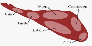  Partes del jamn.